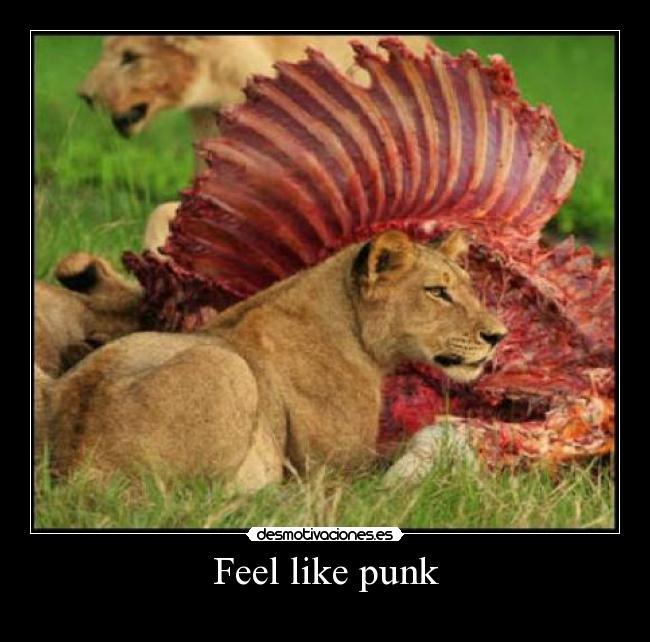 Feel like punk - 