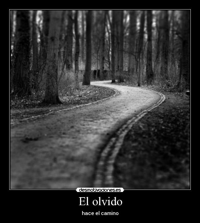 El olvido - 