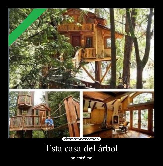 Esta casa del árbol - 