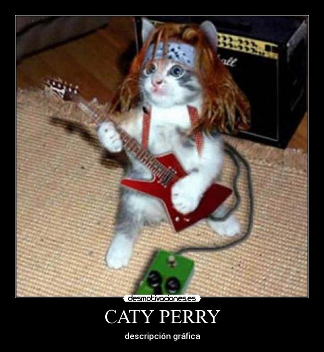 CATY PERRY - descripción gráfica