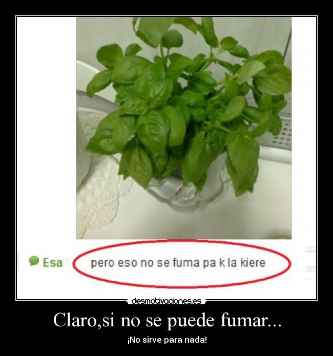 carteles herp derp desmotivaciones