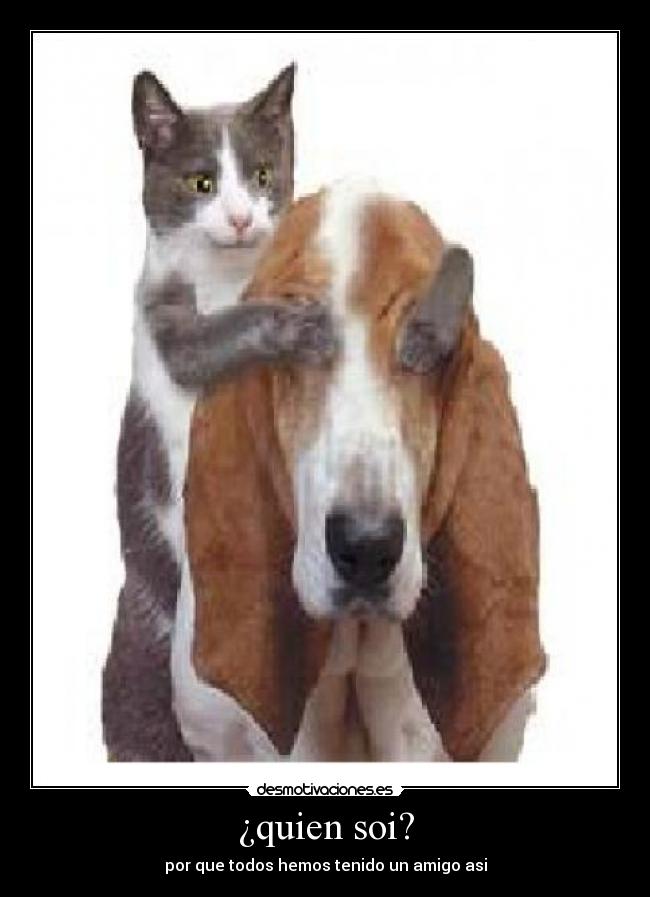 carteles verdad desmotivaciones