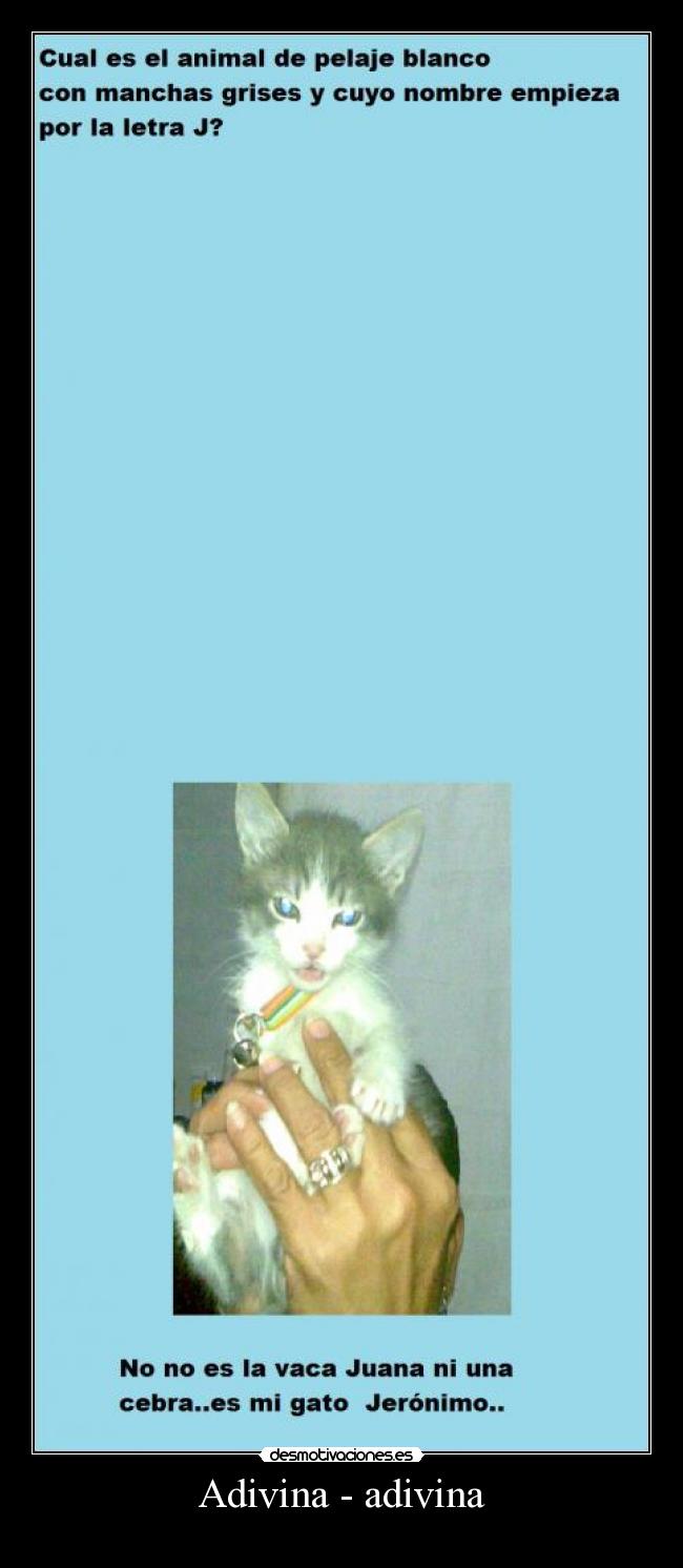 Adivina - adivina -