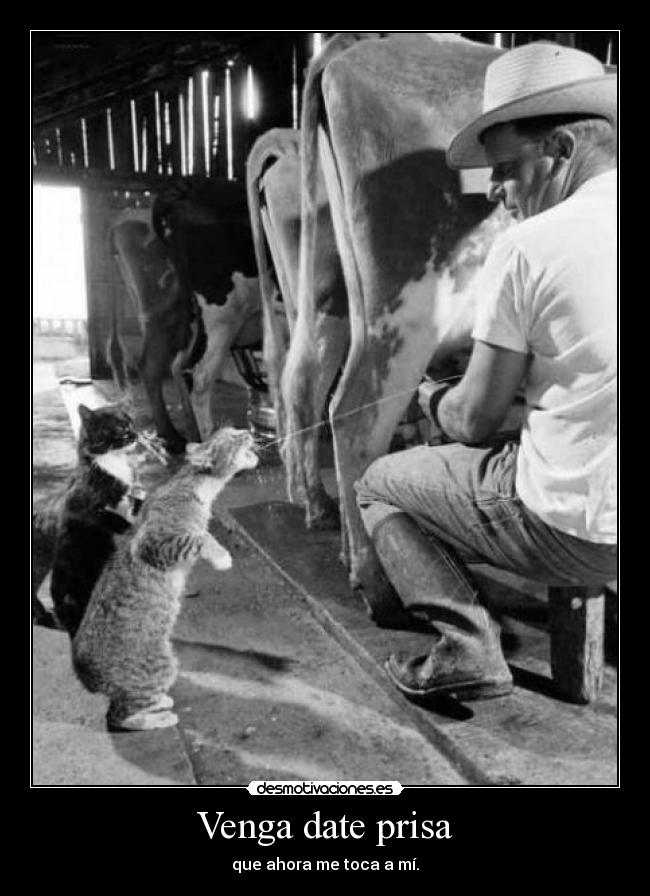Venga date prisa -