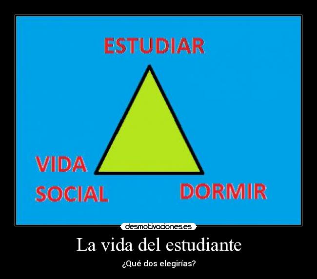 La vida del estudiante - 