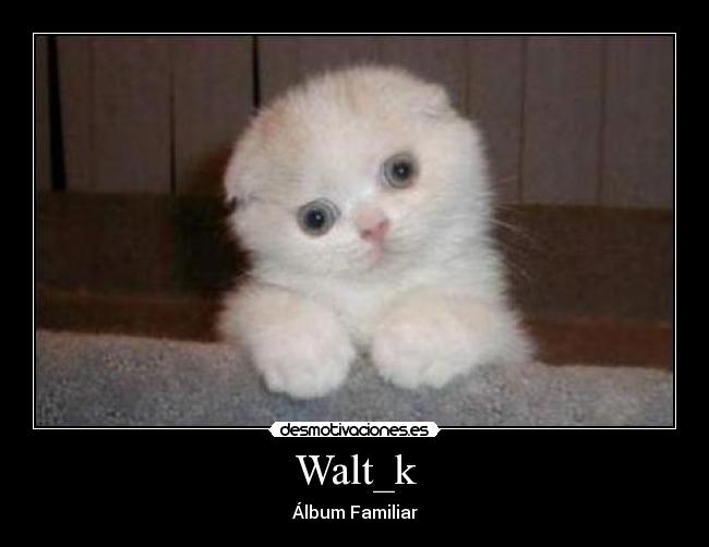 Walt_k - Álbum Familiar