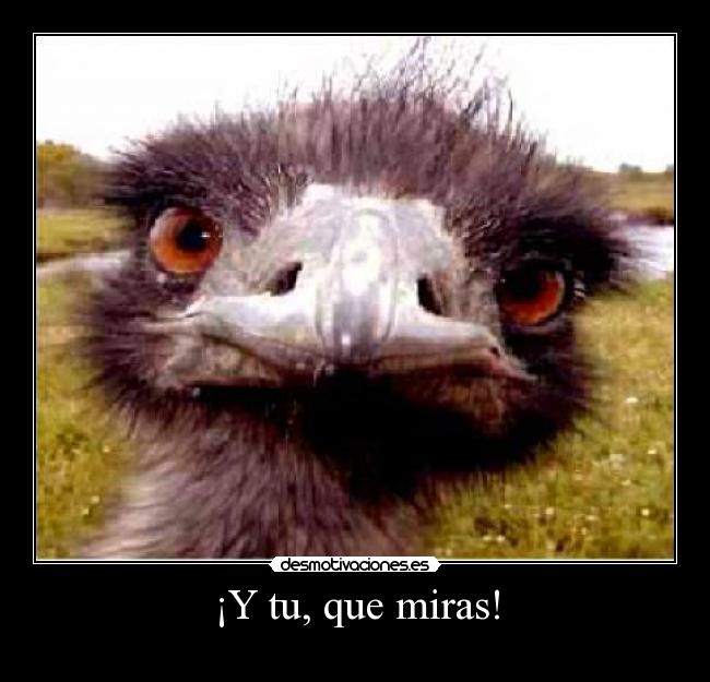 ¡Y tu, que miras! - 