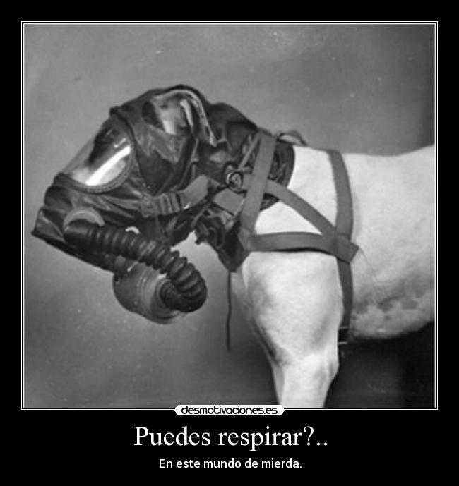 Puedes respirar?.. -