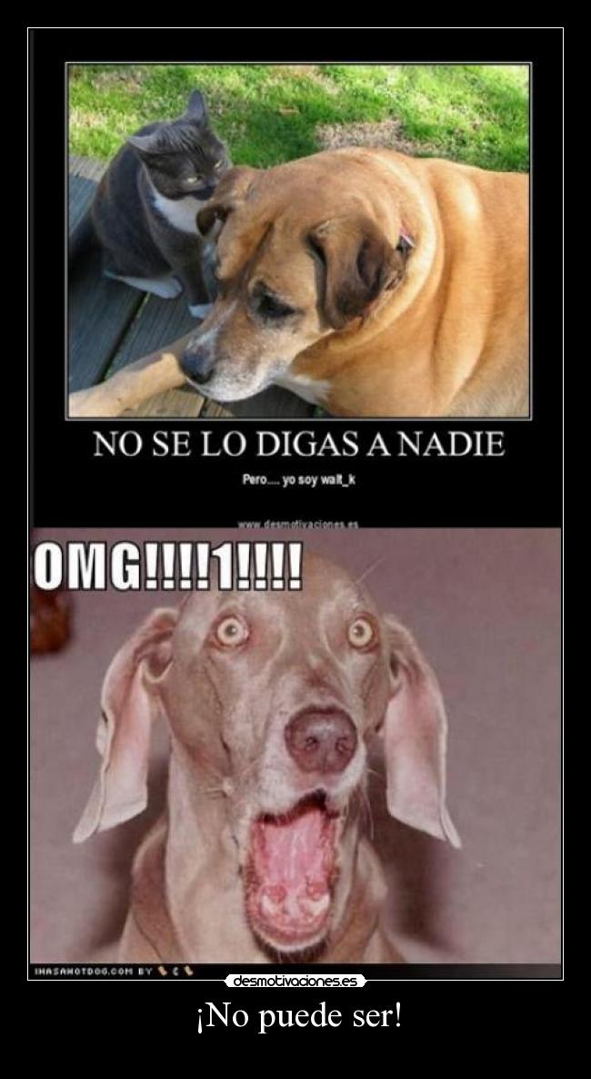 ¡No puede ser! - 