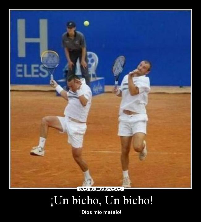 ¡Un bicho, Un bicho! - ¡Dios mio matalo!