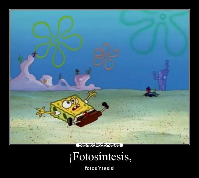 ¡Fotosíntesis, - 