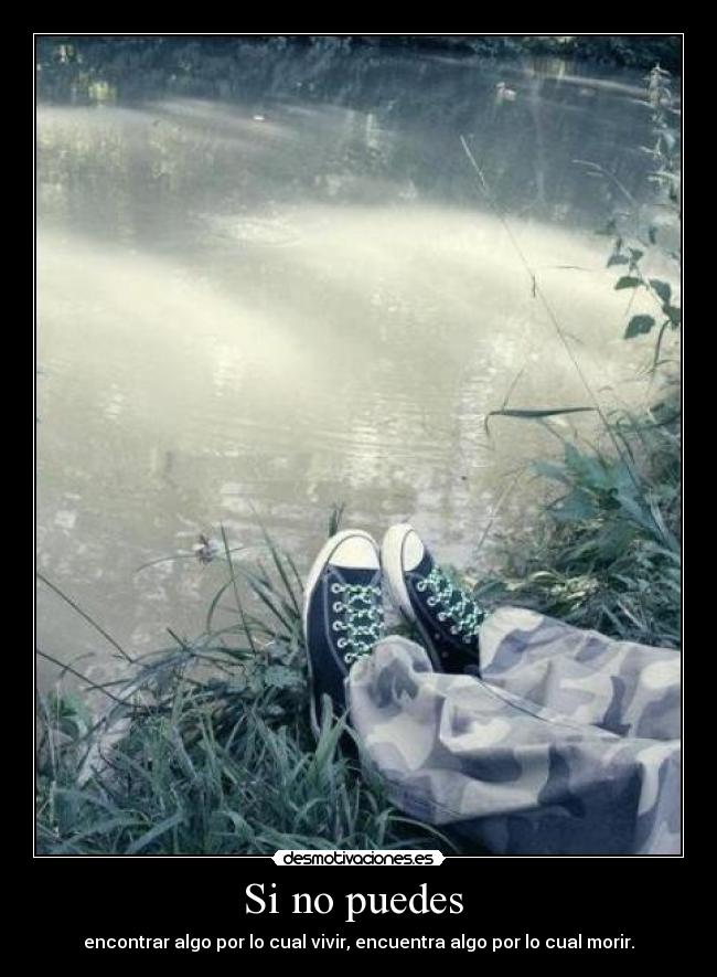 carteles animabod desmotivaciones