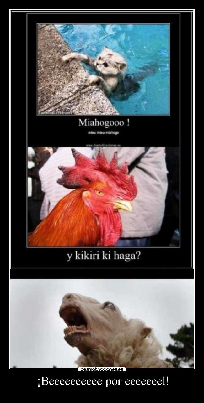 ¡Beeeeeeeeee por eeeeeeel! - 