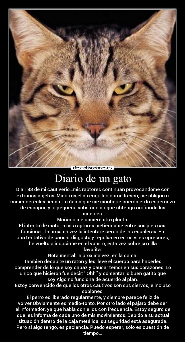 Diario de un gato - 