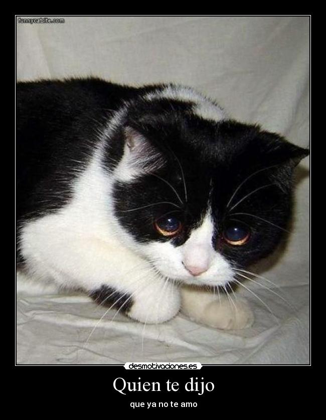 Quien te dijo - que ya no te amo