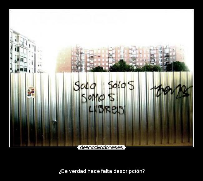 carteles solo solos somos libres verdad hace falta descripcion valla ciudad graffiti desmotivaciones