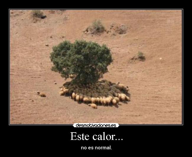 Este calor... -