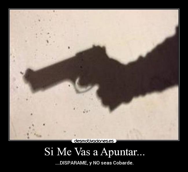 carteles disparar desmotivaciones