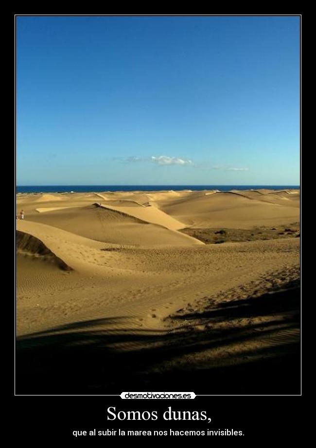 carteles somos dunas desmotivaciones