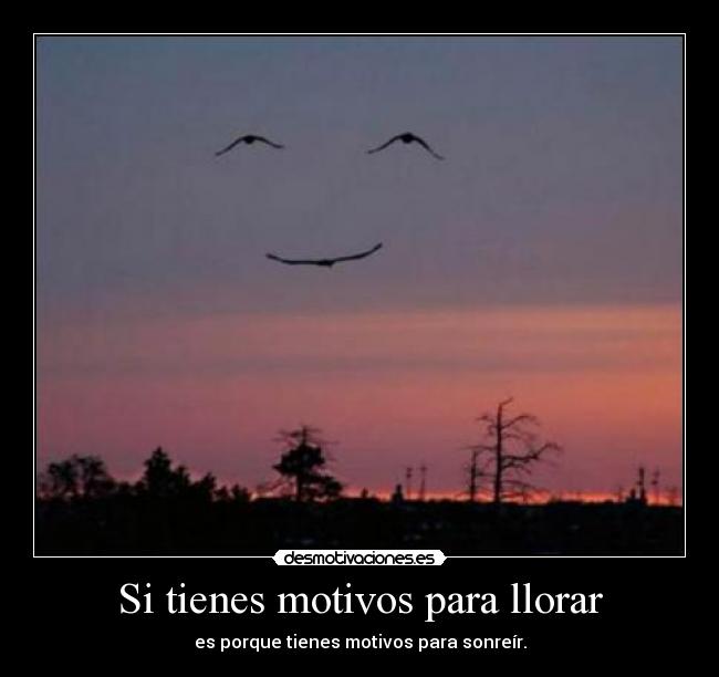 Si tienes motivos para llorar -