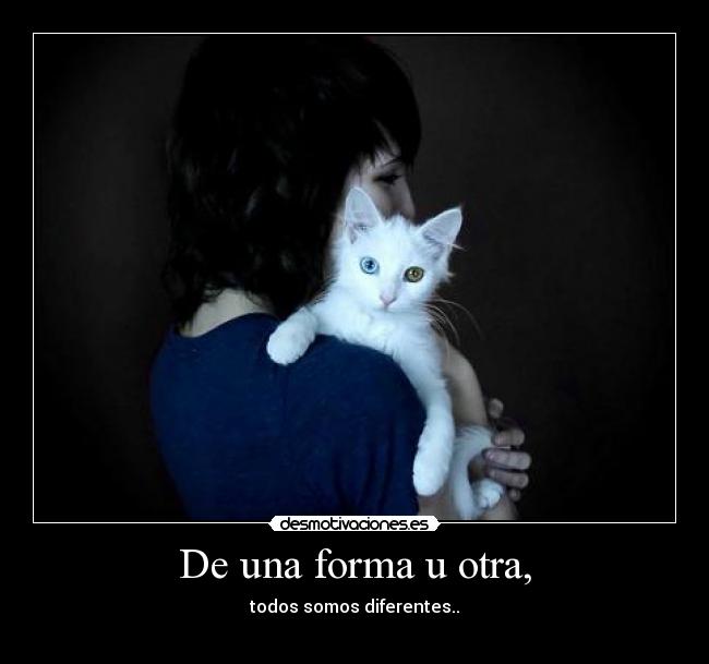 carteles una forma otra desmotivaciones