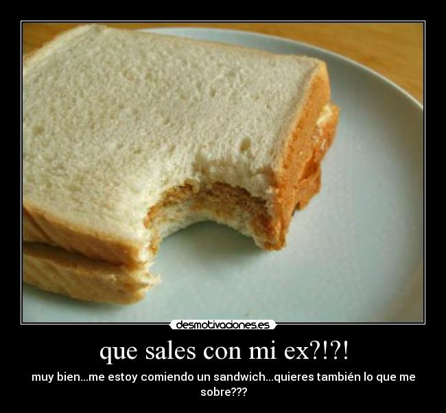 que sales con mi ex?!?! - muy bien...me estoy comiendo un sandwich...quieres también lo que me sobre???