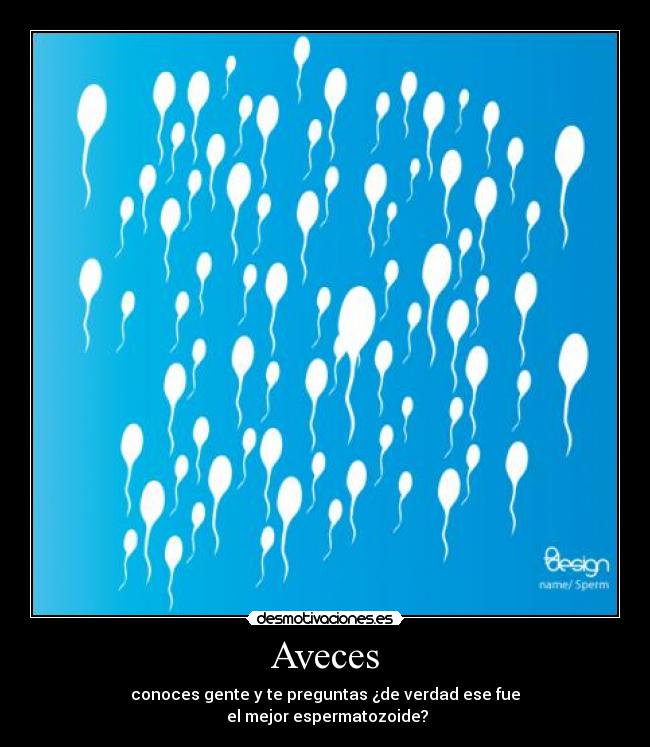 Aveces - 