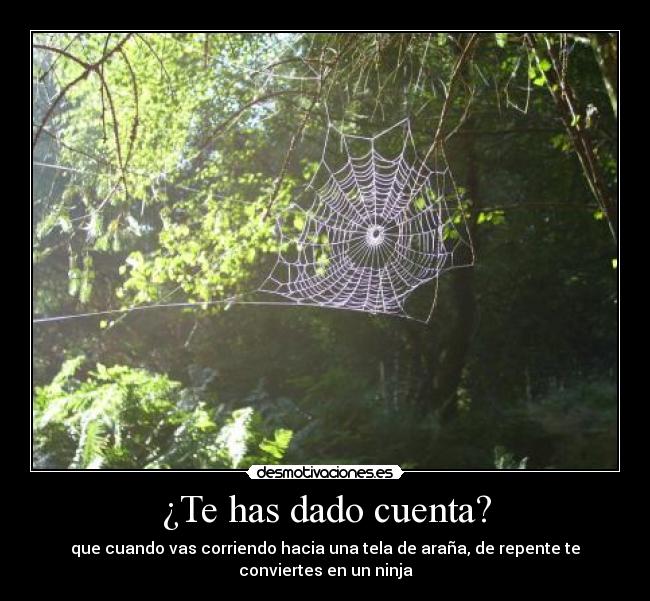 ¿Te has dado cuenta? -