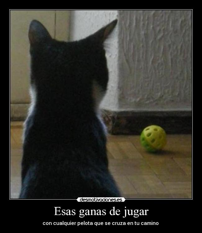 Esas ganas de jugar - con cualquier pelota que se cruza en tu camino 