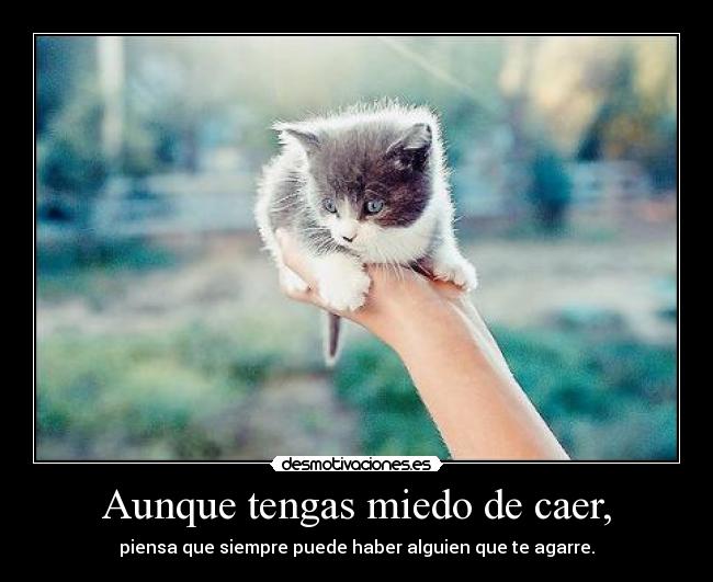Aunque tengas miedo de caer, - 