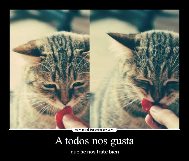 A todos nos gusta -