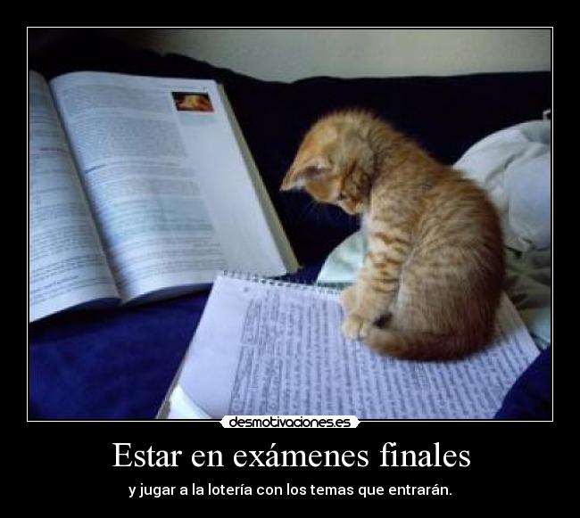 Estar en exámenes finales - 