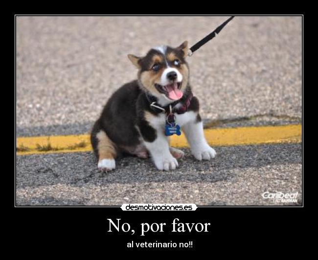 No, por favor -