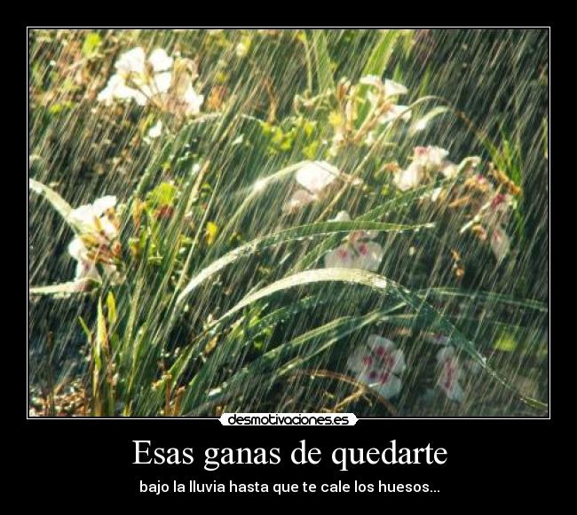 Esas ganas de quedarte - 