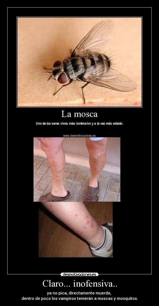 Claro... inofensiva.. - ya no pica, directamente muerde, 
dentro de poco los vampiros temerán a moscas y mosquitos.