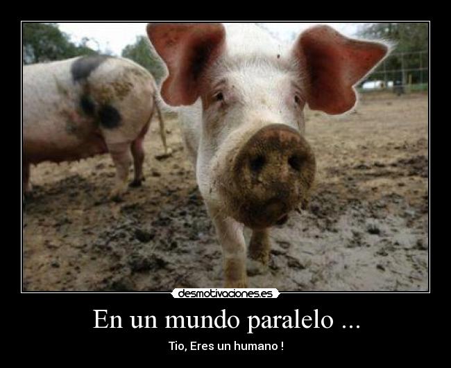 En un mundo paralelo ... -