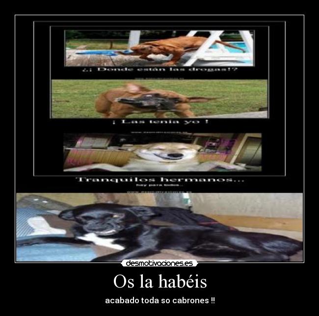 Os la habéis - acabado toda so cabrones !!