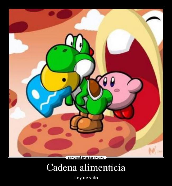 Cadena alimenticia -