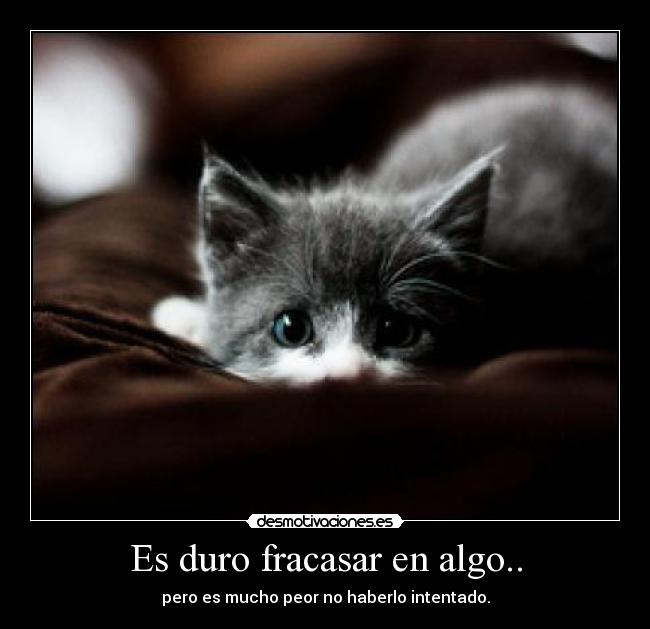 Es duro fracasar en algo.. - pero es mucho peor no haberlo intentado.