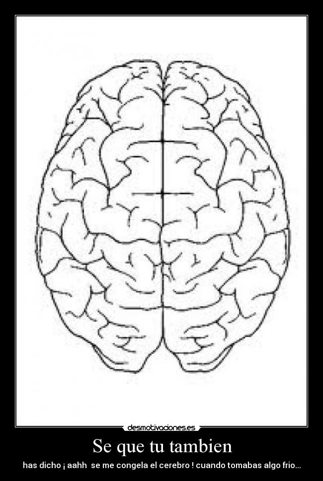 Se que tu tambien - has dicho ¡ aahh se me congela el cerebro ! cuando tomabas algo frio...