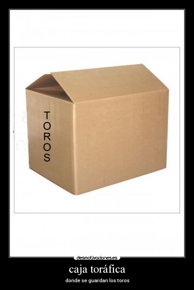 carteles toro desmotivaciones