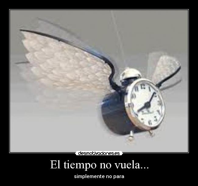 El tiempo no vuela... - simplemente no para