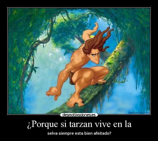 ¿Porque si tarzan vive en la - 