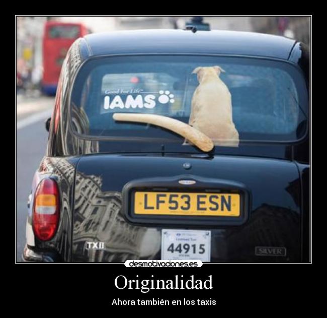 Originalidad - 