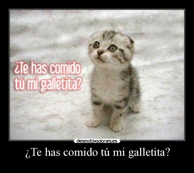 carteles galletas gatos desmotivaciones