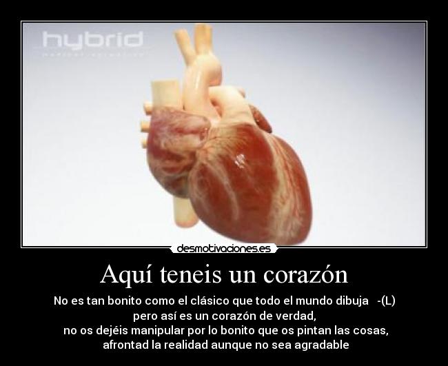 Aquí teneis un corazón - No es tan bonito como el clásico que todo el mundo dibuja ♥ -(L)
pero así es un corazón de verdad,
no os dejéis manipular por lo bonito que os pintan las cosas,
afrontad la realidad aunque no sea agradable