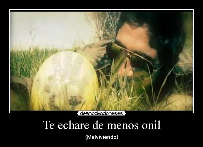 carteles borre desmotivaciones