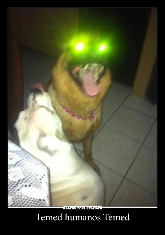 Temed humanos Temed -