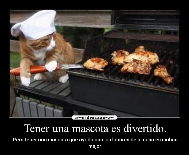 Tener una mascota es divertido. - Pero tener una mascota que ayuda con las labores de la casa es muhco mejor