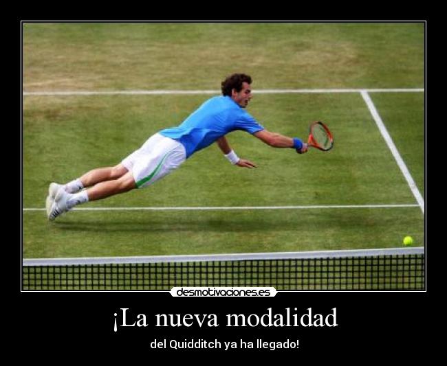 ¡La nueva modalidad - del Quidditch ya ha llegado!